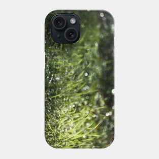 Glowing Green Grass After Rain Drops Fallen Phone Case