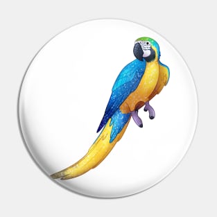 Cozy Macaw Pin