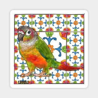 Conure Talavera Magnet