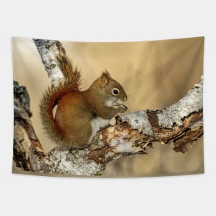 Red Squirrel Tapestry