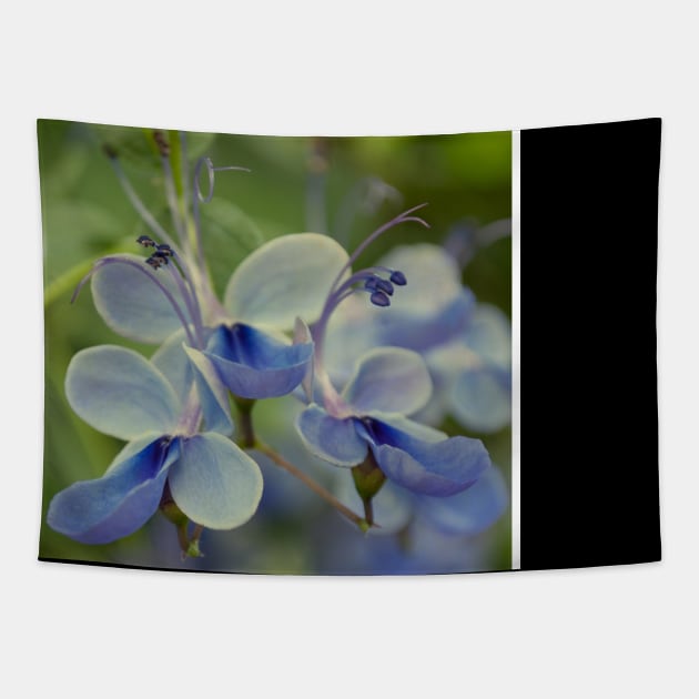 Unique Blue Flower with green leaves nature lovers beautiful photography design Tapestry by BoogieCreates