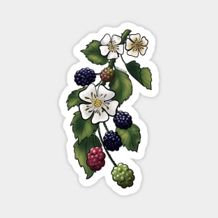 Blackberries Magnet