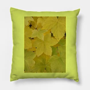 Autumn Colours II Pillow