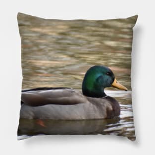 Father Duck Pillow