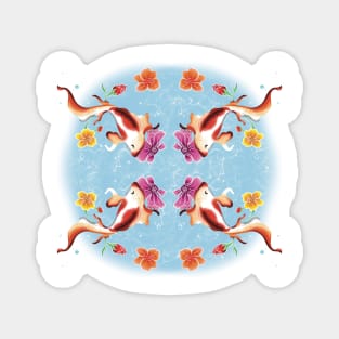 Koi Magnet