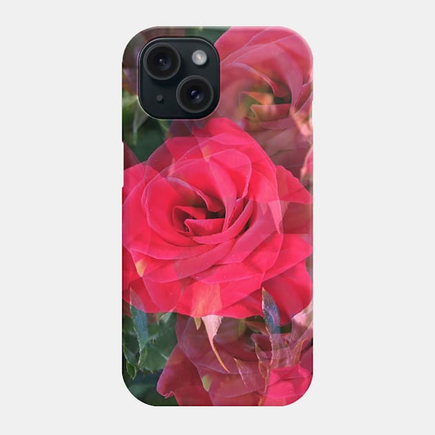 Roses Outside the Store 9 Phone Case by Ric1926