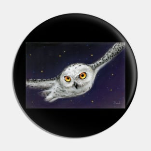 Night Flight Pin