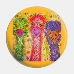 Three Colourful Emus Pin