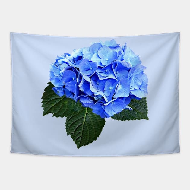 Beautiful Blue Hydrangea Tapestry by SusanSavad