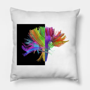 White matter fibres of the human brain (C023/9416) Pillow