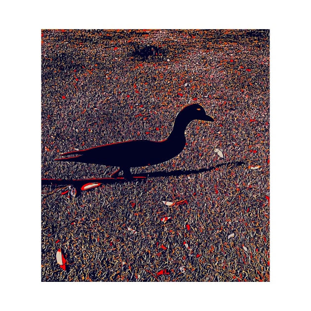 Duck Duck Shadow by Tovers