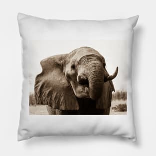 African Bull Elephant Pillow