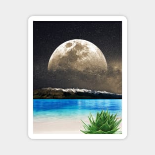 Aloe Vera Moon Beach Magnet