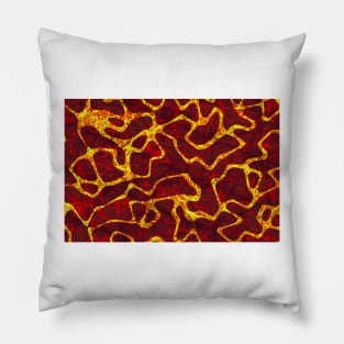 Lava Pattern Pillow