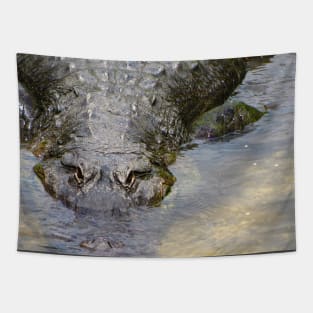 Gator Boy Tapestry