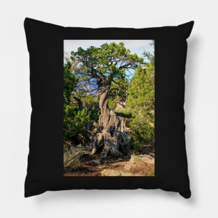 Gnarly Pillow