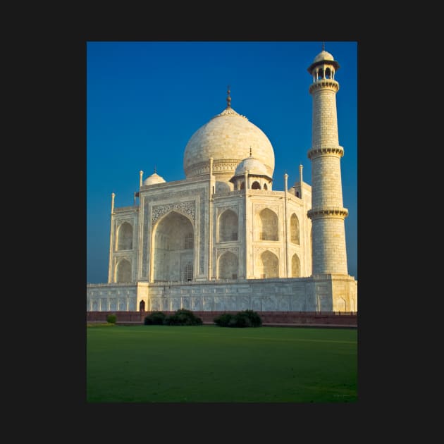 Taj Mahal in Early Morning Light by BrianPShaw