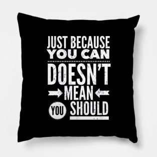 Funny Just Because You Can Pillow