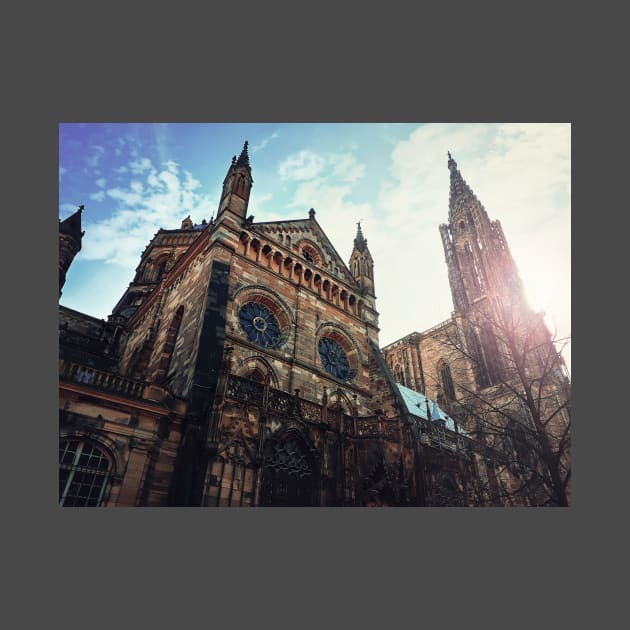 Roman Catholic Cathedral Notre Dame of Strasbourg by psychoshadow