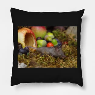 wild house mouse  with a apple Pillow