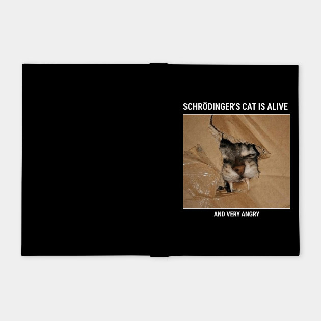 Schrodingers Cat Meme Schrodingers Cat Notebook Teepublic