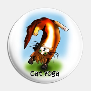 cat yoga 1 Pin