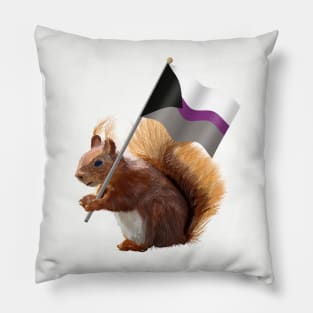 A Red Squirrel with a Demisexual Pride Flag. Pillow