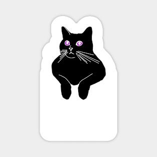 Kitty 2 Magnet