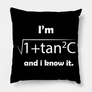 Im Sec C And I Know It  Funny Sexy Math Humor Pillow
