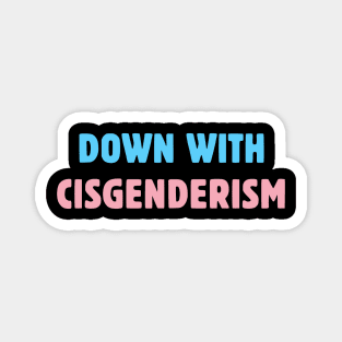 Down With Cisgenderism Magnet