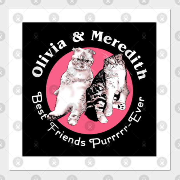Best Friend Purrr Ever Taylor Swift Reputation Posters And Art Prints Teepublic