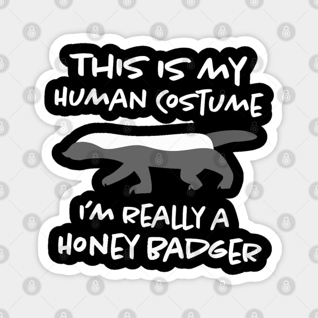 this is my human costume i'm really a honey badger Magnet by CosmicCat