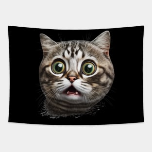 Funny Scared Cat Face, Cat Lover, Scaredy Cat Tapestry