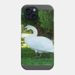 Graceful Swan Standing Under a Tree Phone Case