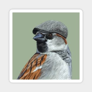 House sparrow Magnet