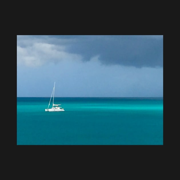 Catamaran in Antigua by ephotocard