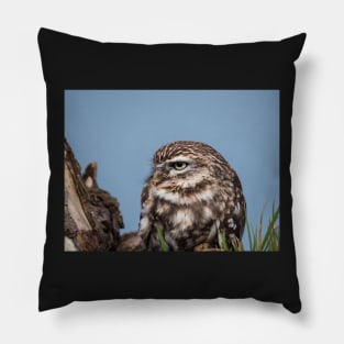 Little owl perched on at tree trunk Pillow