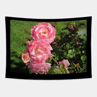 3 Pink Blooms Tapestry