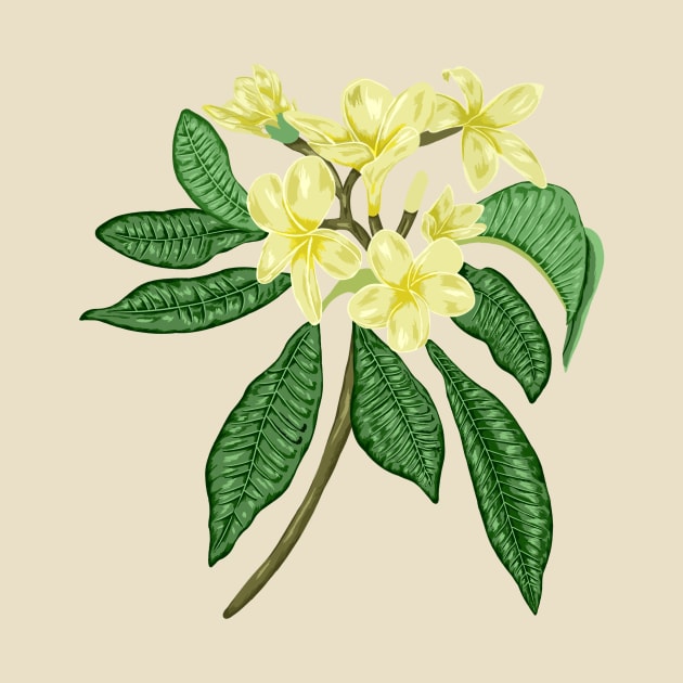 Frangipani Botanical by Salfiart