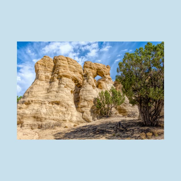 Pillar Arch In Potter Canyon New Mexico by Debra Martz