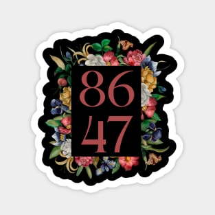 8647 Magnet