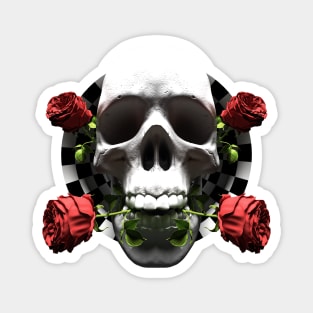 valentine Skull Roses  Anamorphic Illusion Magnet