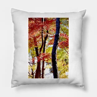Autumn Colours 10 Pillow