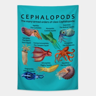 The Cephalopod: Octopus, Squid, Cuttlefish, and Nautilus (Light Background) Tapestry