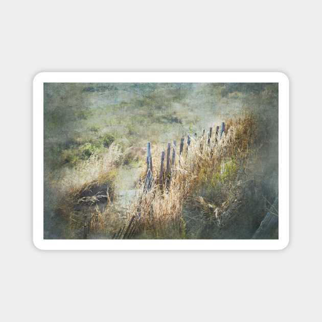 Heavenly Fences Magnet by Susan Werby