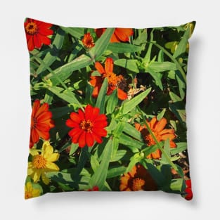 Pretty Red Orange and yellow Flowers with green leaves nature lovers beautiful photography design Pillow