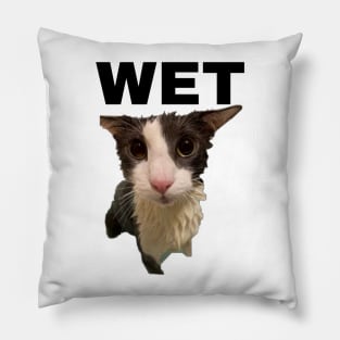 Soggy Cat Wet Pillow