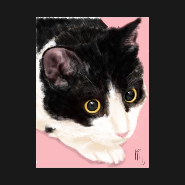 Black and White Cat on a Pink Background by LITDigitalArt