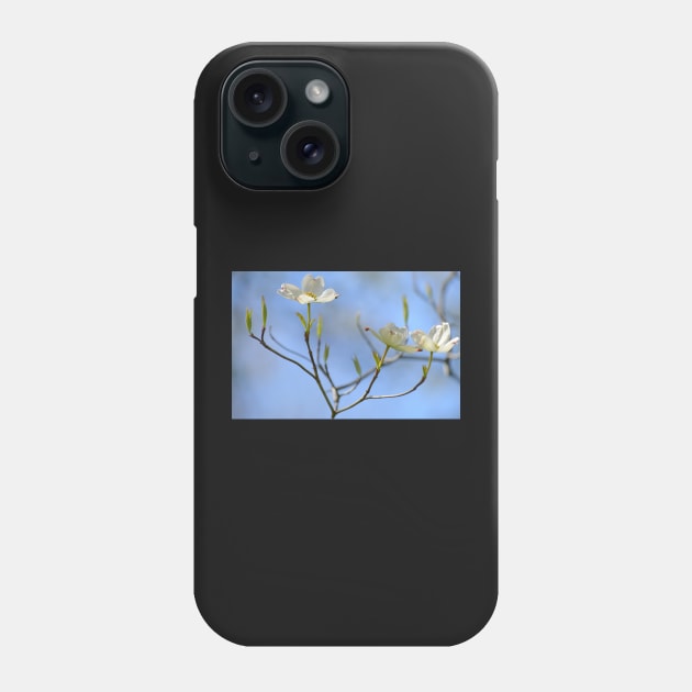 Dogwood Blossoms Phone Case by LaurieMinor