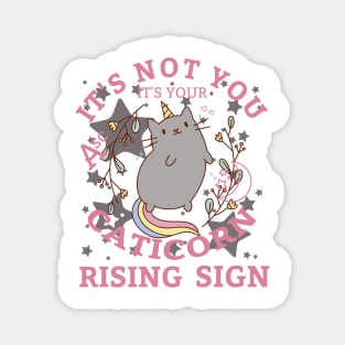 Caticorn Rising, Pawsitively Unique Magnet